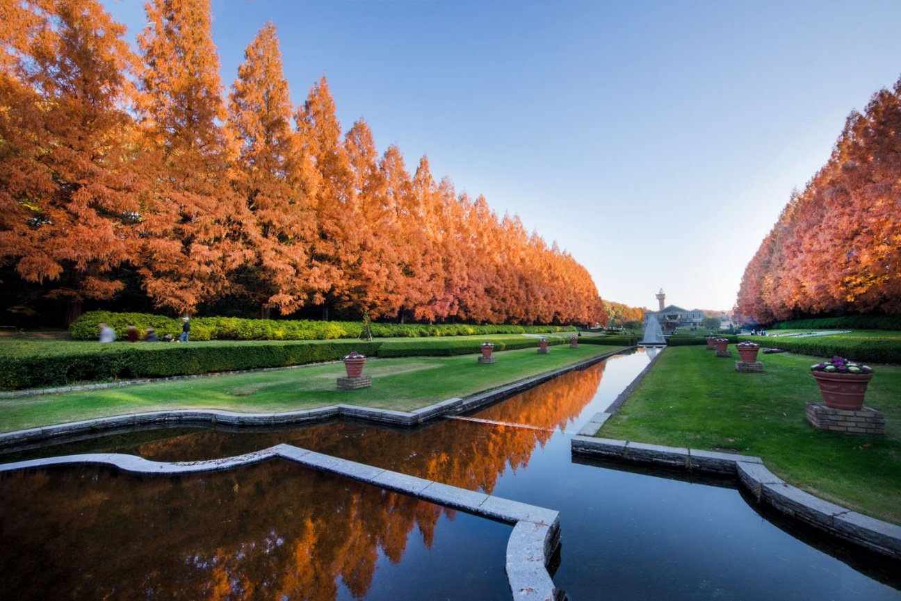 🏞️ 가나가와 현립 사가미하라 공원 이미지 11